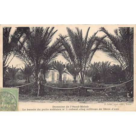 Rare collectable postcards of TUNISIE. Vintage Postcards of TUNISIE