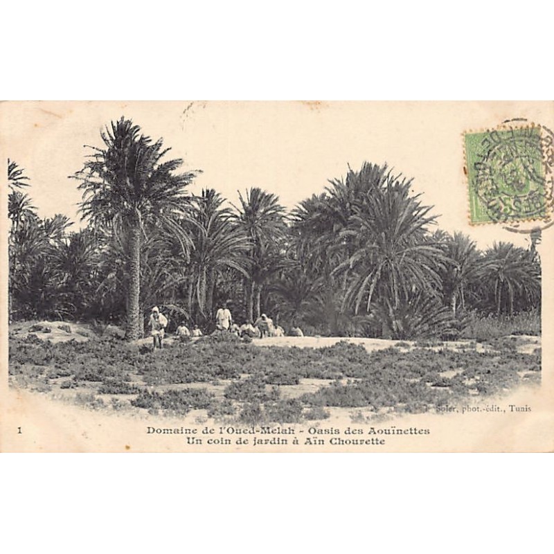Rare collectable postcards of TUNISIE. Vintage Postcards of TUNISIE