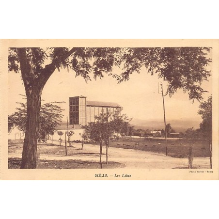 Rare collectable postcards of TUNISIE. Vintage Postcards of TUNISIE
