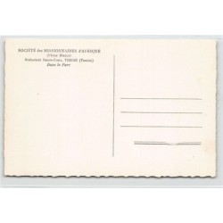 Rare collectable postcards of TUNISIE. Vintage Postcards of TUNISIE