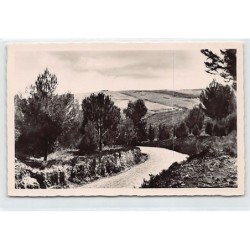 Rare collectable postcards of TUNISIE. Vintage Postcards of TUNISIE