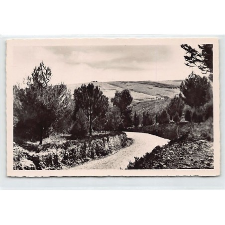 Rare collectable postcards of TUNISIE. Vintage Postcards of TUNISIE