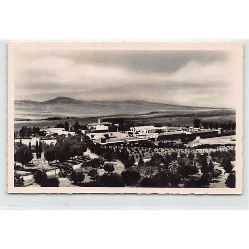 Rare collectable postcards of TUNISIE. Vintage Postcards of TUNISIE