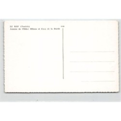 Rare collectable postcards of TUNISIE. Vintage Postcards of TUNISIE