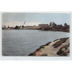 Rare collectable postcards of TUNISIE. Vintage Postcards of TUNISIE