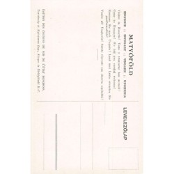 Rare collectable postcards of HUNGARY. Vintage Postcards of HUNGARY