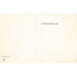 Rare collectable postcards of HUNGARY. Vintage Postcards of HUNGARY