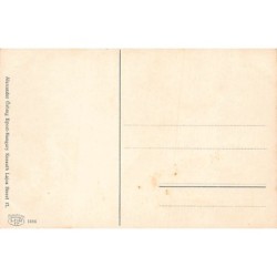 Rare collectable postcards of HUNGARY. Vintage Postcards of HUNGARY