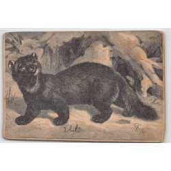 Rare collectable postcards of HUNGARY. Vintage Postcards of HUNGARY