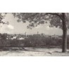 Rare collectable postcards of POLAND. Vintage Postcards of POLAND