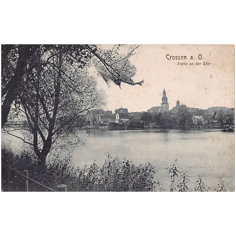 Rare collectable postcards of POLAND. Vintage Postcards of POLAND