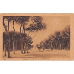 Rare collectable postcards of LEBANON. Vintage Postcards of LEBANON