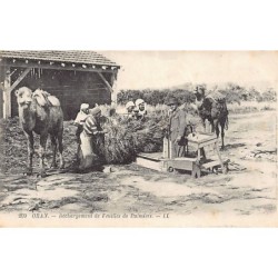 Rare collectable postcards of ALGERIA. Vintage Postcards of ALGERIA