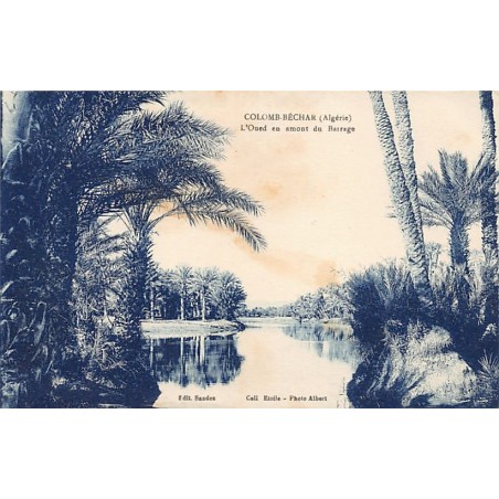 Rare collectable postcards of ALGERIA. Vintage Postcards of ALGERIA
