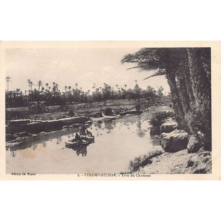 Rare collectable postcards of ALGERIA. Vintage Postcards of ALGERIA