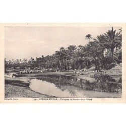 Rare collectable postcards of ALGERIA. Vintage Postcards of ALGERIA