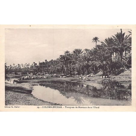 Rare collectable postcards of ALGERIA. Vintage Postcards of ALGERIA