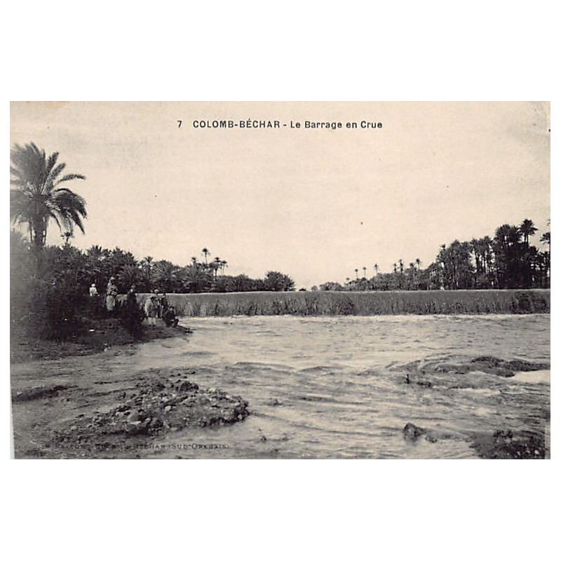 Rare collectable postcards of ALGERIA. Vintage Postcards of ALGERIA