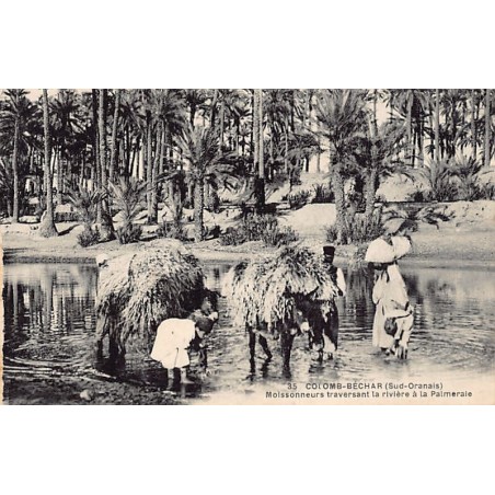 Rare collectable postcards of ALGERIA. Vintage Postcards of ALGERIA