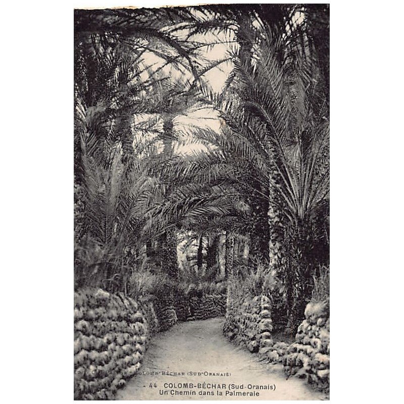 Rare collectable postcards of ALGERIA. Vintage Postcards of ALGERIA