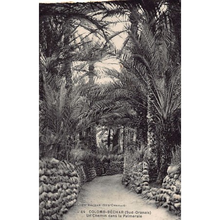 Rare collectable postcards of ALGERIA. Vintage Postcards of ALGERIA