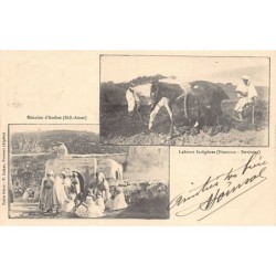 Rare collectable postcards of ALGERIA. Vintage Postcards of ALGERIA