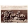 Rare collectable postcards of LEBANON. Vintage Postcards of LEBANON