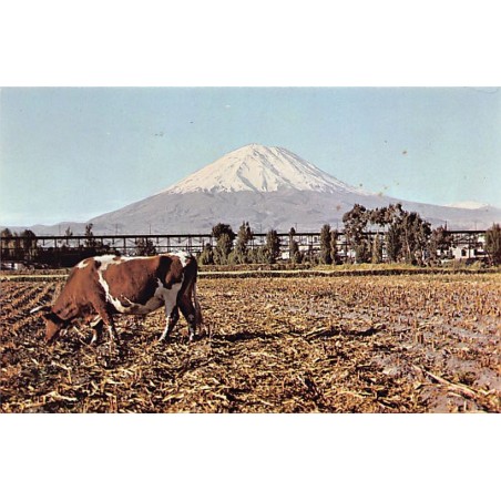 Rare collectable postcards of PERU. Vintage Postcards of PERU