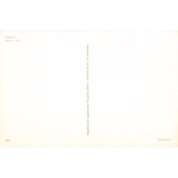 Rare collectable postcards of PERU. Vintage Postcards of PERU