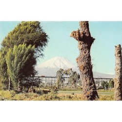 Rare collectable postcards of PERU. Vintage Postcards of PERU