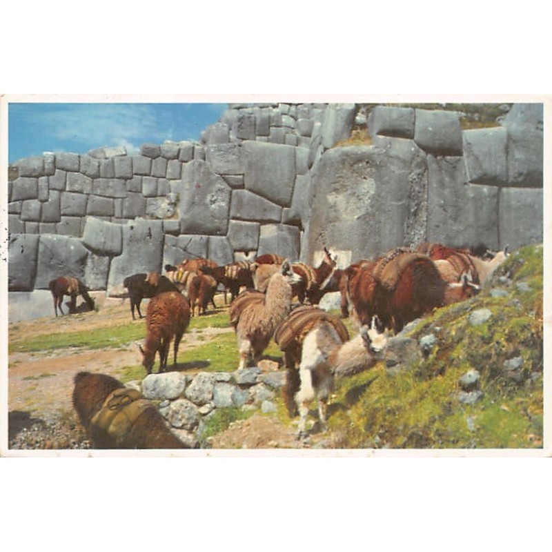 Rare collectable postcards of PERU. Vintage Postcards of PERU