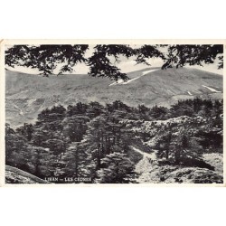 Rare collectable postcards of LEBANON. Vintage Postcards of LEBANON