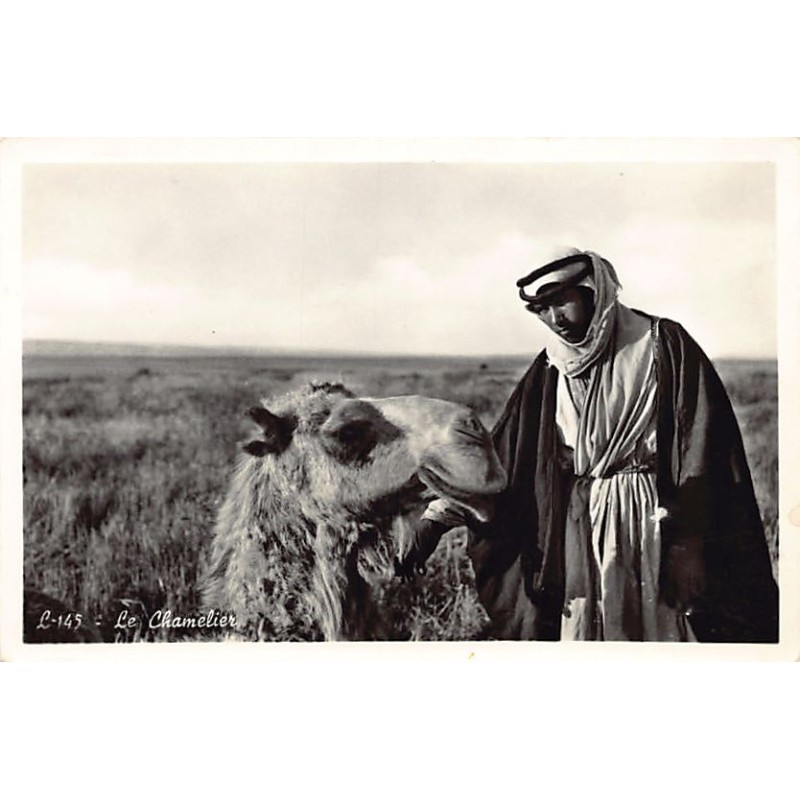 Rare collectable postcards of LEBANON. Vintage Postcards of LEBANON