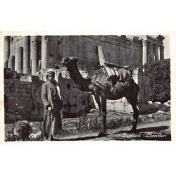 Rare collectable postcards of LEBANON. Vintage Postcards of LEBANON
