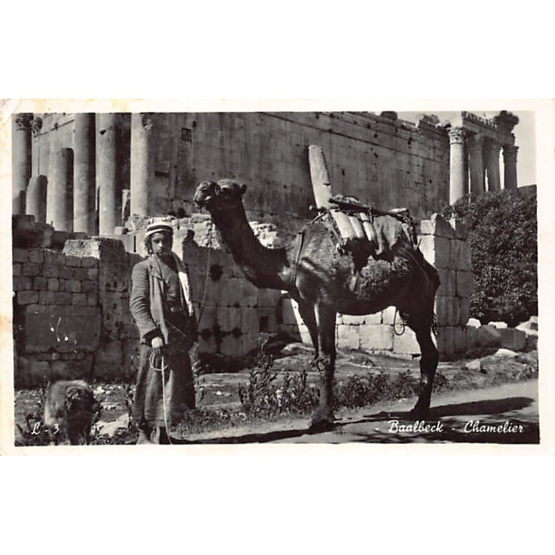 Rare collectable postcards of LEBANON. Vintage Postcards of LEBANON