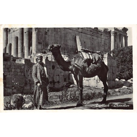 Rare collectable postcards of LEBANON. Vintage Postcards of LEBANON