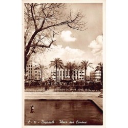 Rare collectable postcards of LEBANON. Vintage Postcards of LEBANON