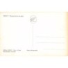 Rare collectable postcards of LEBANON. Vintage Postcards of LEBANON
