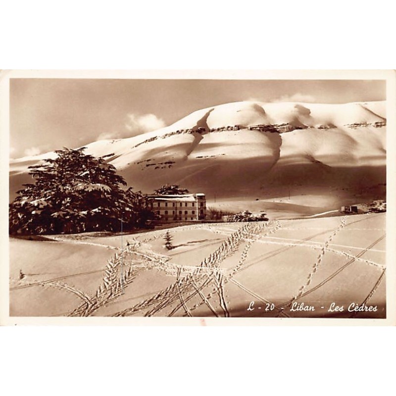 Rare collectable postcards of LEBANON. Vintage Postcards of LEBANON