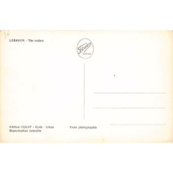 Rare collectable postcards of LEBANON. Vintage Postcards of LEBANON