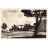 Rare collectable postcards of LEBANON. Vintage Postcards of LEBANON
