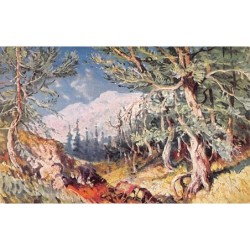 Rare collectable postcards of LEBANON. Vintage Postcards of LEBANON