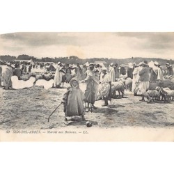 Rare collectable postcards of ALGERIA. Vintage Postcards of ALGERIA