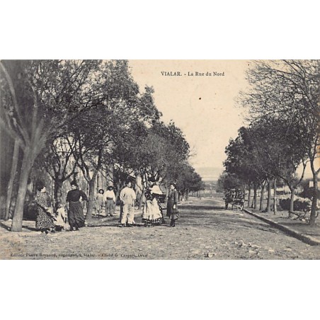 Rare collectable postcards of ALGERIA. Vintage Postcards of ALGERIA