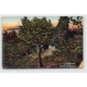 Rare collectable postcards of GREECE. Vintage Postcards of GREECE
