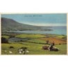 Rare collectable postcards of EIRE Ireland. Vintage Postcards of EIRE Ireland