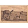 Rare collectable postcards of LEBANON. Vintage Postcards of LEBANON