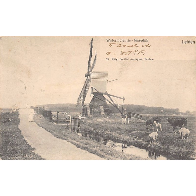 Rare collectable postcards of NETHERLANDS Nederland. Vintage Postcards of NETHERLANDS Nederland