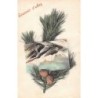 Rare collectable postcards of LEBANON. Vintage Postcards of LEBANON
