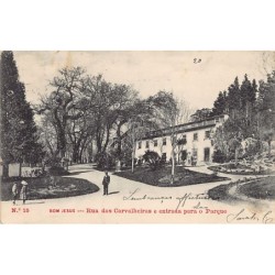 Rare collectable postcards of PORTUGAL. Vintage Postcards of PORTUGAL